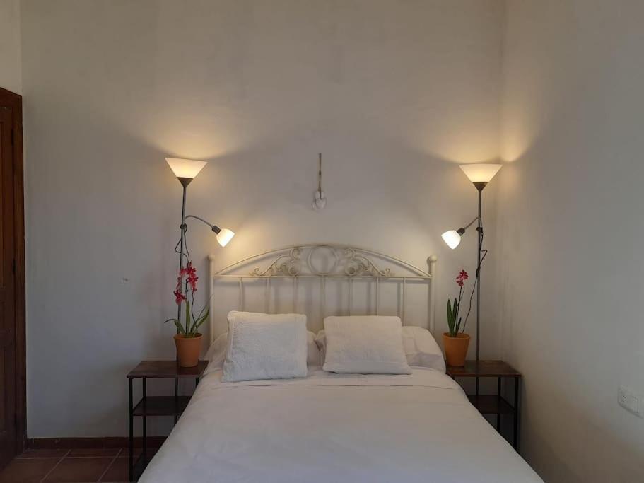 Casa De Las Lavandas, Ávila 外观 照片
